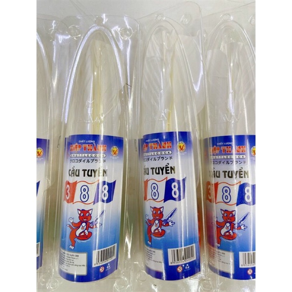 cầu đá tuyển mã 388