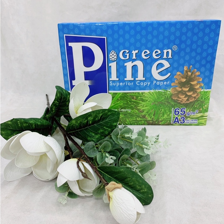 Giấy in, giấy photo Green pine A3, A4, A5 ĐL 65g/m2