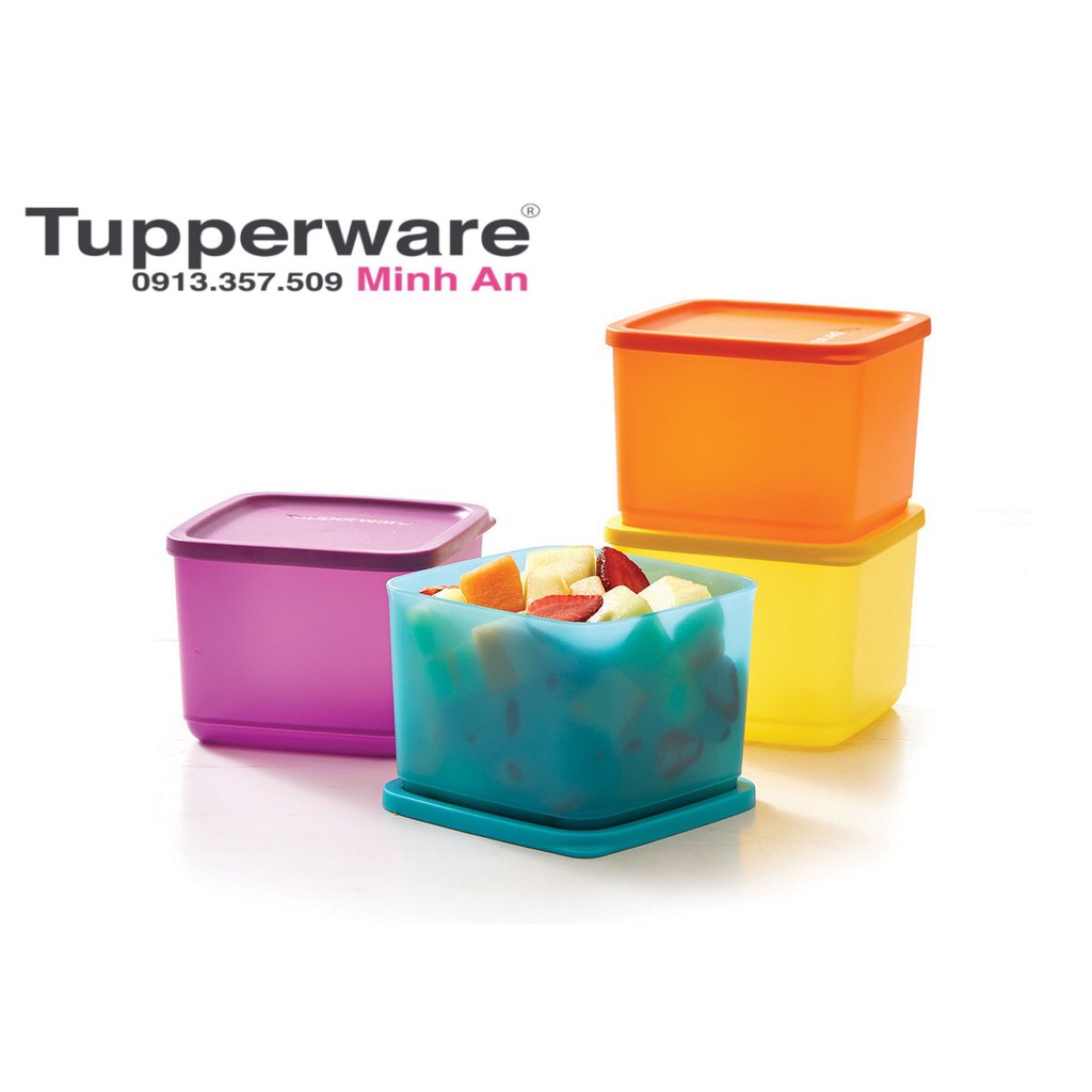 Bộ Hộp Bảo Quản Thực Phẩm Medium Summer Fresh (4 hộp) Tupperware, Bộ Hộp Nhựa Nguyên Sinh An Toàn, Trữ Thức Ăn