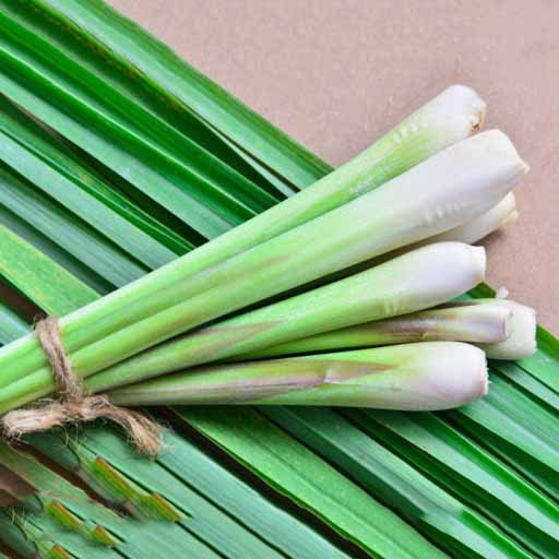 Sả cây tươi 1 kí [ CHỈ GIAO TPHCM]