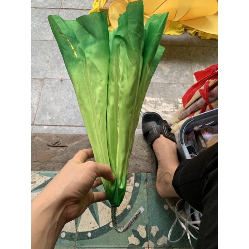 Lá sen múa cầm tay