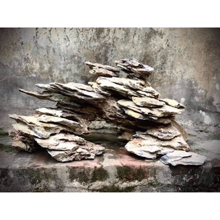 Đá Vỉa (Hàng Tuyển) Setup Bể Thuỷ sinh