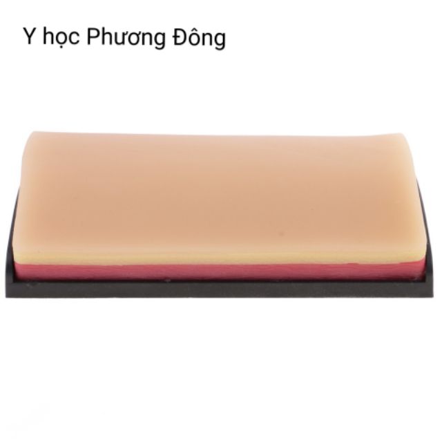MÔ HÌNH DA luyện tập PHẪU THUẬT, KHÂU VẾT THƯƠNG tặng BỘ DỤNG CỤ 5 MÓN KHÂU VẾT THƯƠNG