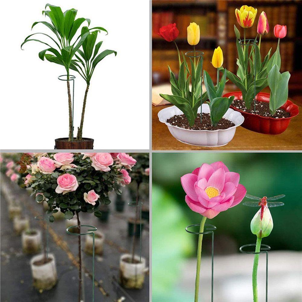 Set 5 Giá Đỡ Cây Dây Leo Dùng Trang Trí Sân Vườn Tiện Dụng
