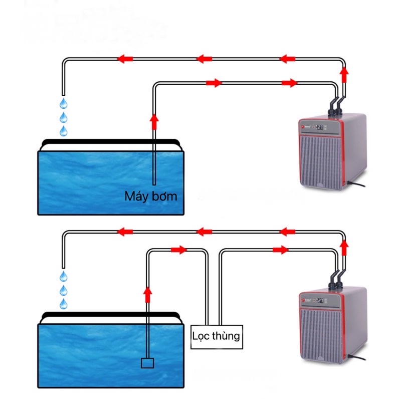Máy làm mát nước cho hồ cá Chiller AL-SF102 Bản nâng cấp của AL Z1, mẫu mới nhất 2022