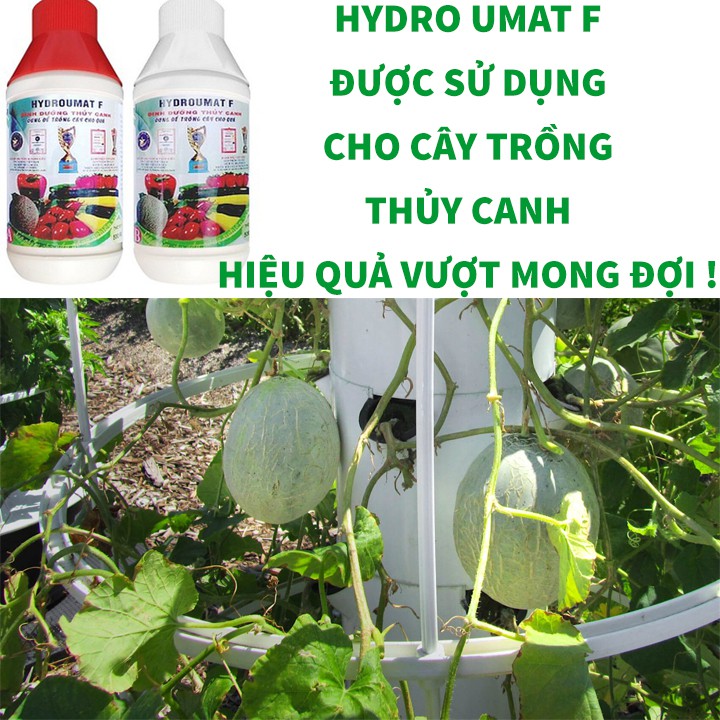 COMBO DINH DƯỠNG THỦY CANH HYDRO UMAT F + BÚT ĐO TDS-3