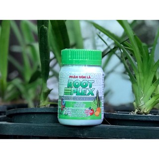 Phân bón lá Rong Biển Root Plex Chai 100ml