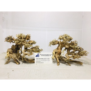 Lũa bonsai mini trang trí bể thủy sinh, cá cảnh BS05