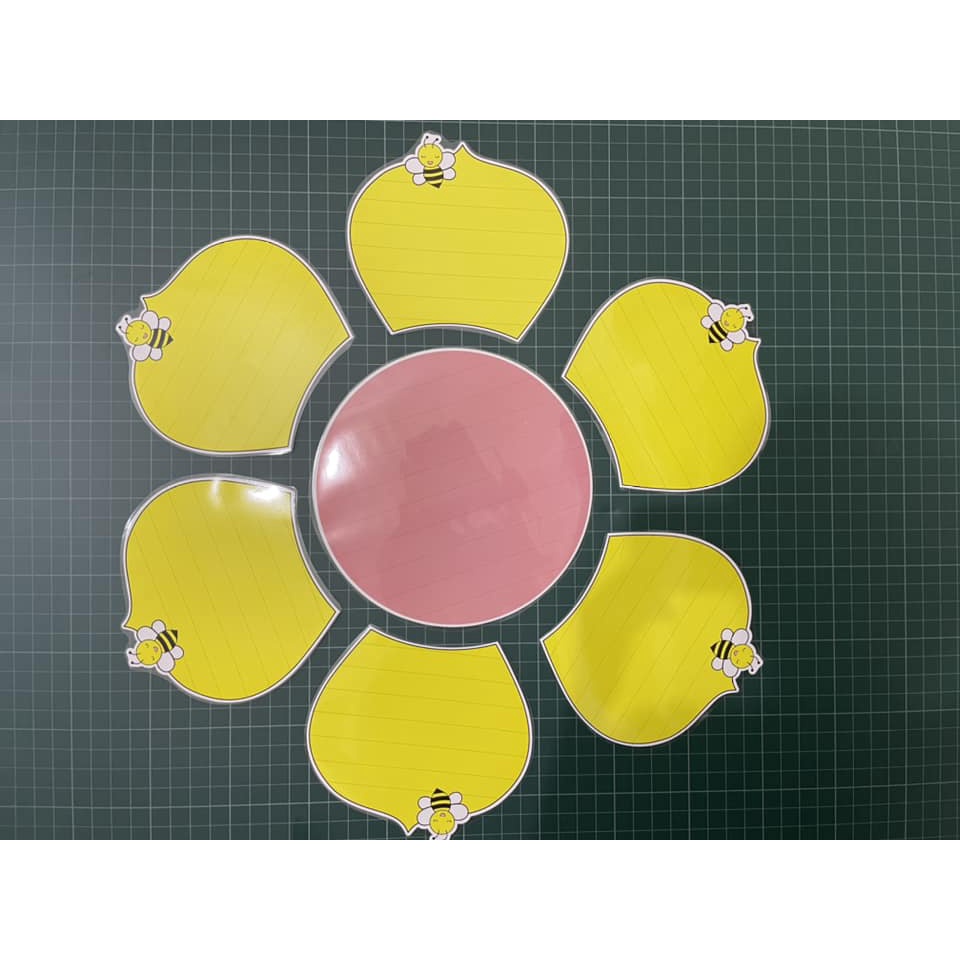 Hoa bảng Nhóm 6 cánh ép plastic (Nhị a3, cánh a4) sẵn nam châm dính bảng