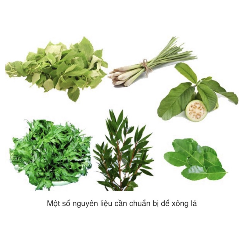 Lá xông giải cảm , và phụ nữ sau sinh [ Giá Huỷ Diệt ]