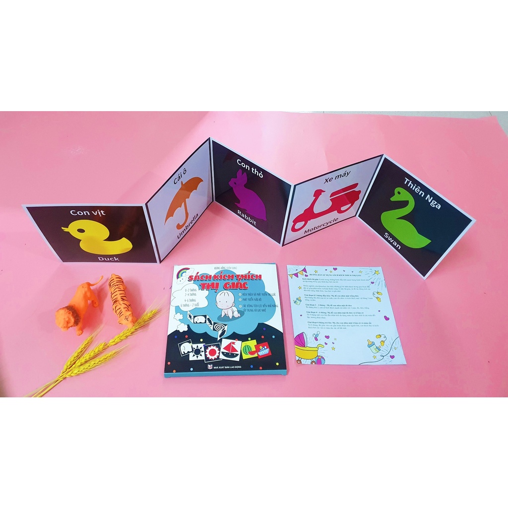 Combo bộ thẻ Flashcard - Kích thích thị giác cho trẻ sơ sinh