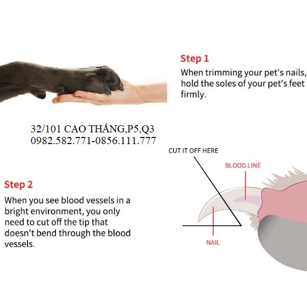 Kềm cắt móng vuốt thú cưng thiết kế bền bỉ chất lượng cao