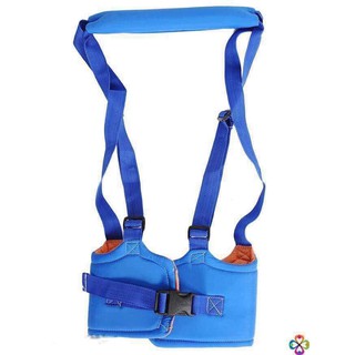 Đai Tập Đi Royal
