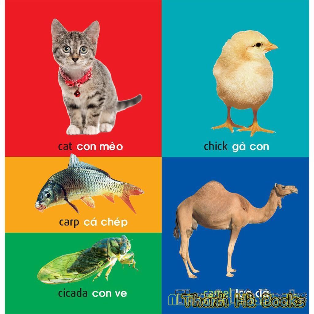 [Mã LIFE2410K giảm 10K đơn 20K] Sách - 101 từ đầu tiên - 6 quyển lẻ tùy chọn | BigBuy360 - bigbuy360.vn