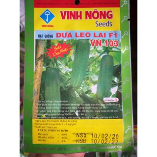 Hạt giống Dưa chuột thái
