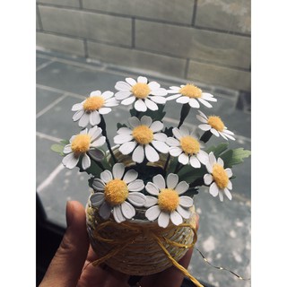 Chậu hoa cúc Tana handmade mini