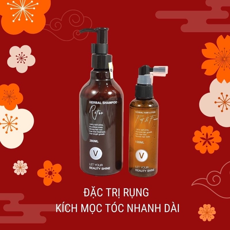 Combo ngăn rụng kích mọc tóc VyvyHairCare