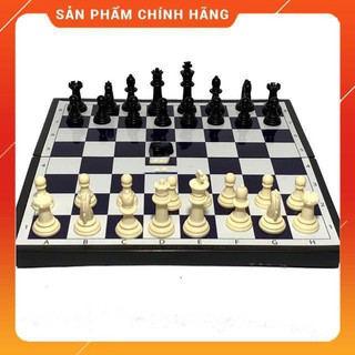 CỜ VUA QUỐC TẾ CÓ NAM CHÂM