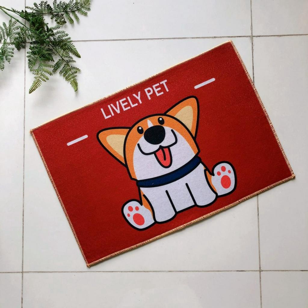 Thảm chùi chân hình thú Thảm Lau Chân Hình Thú Ngộ Nghĩnh in 3d Chống Trơn Trượt 40x60cm