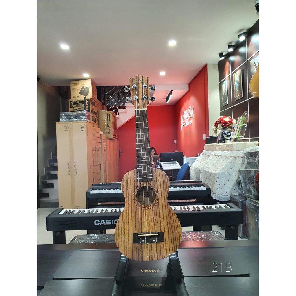 Đàn Ukulele Soprano Andrew Cho Bé Nhiều Họa Tiết Đáng Yêu [Tặng Bao Ukulele 3 lớp]