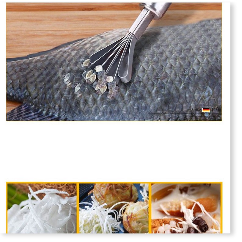 Đánh vảy cá  ✳️  Cây cạo vảy cá, nạo dừa chất liệu thép không gỉ, bền bỉ 3176