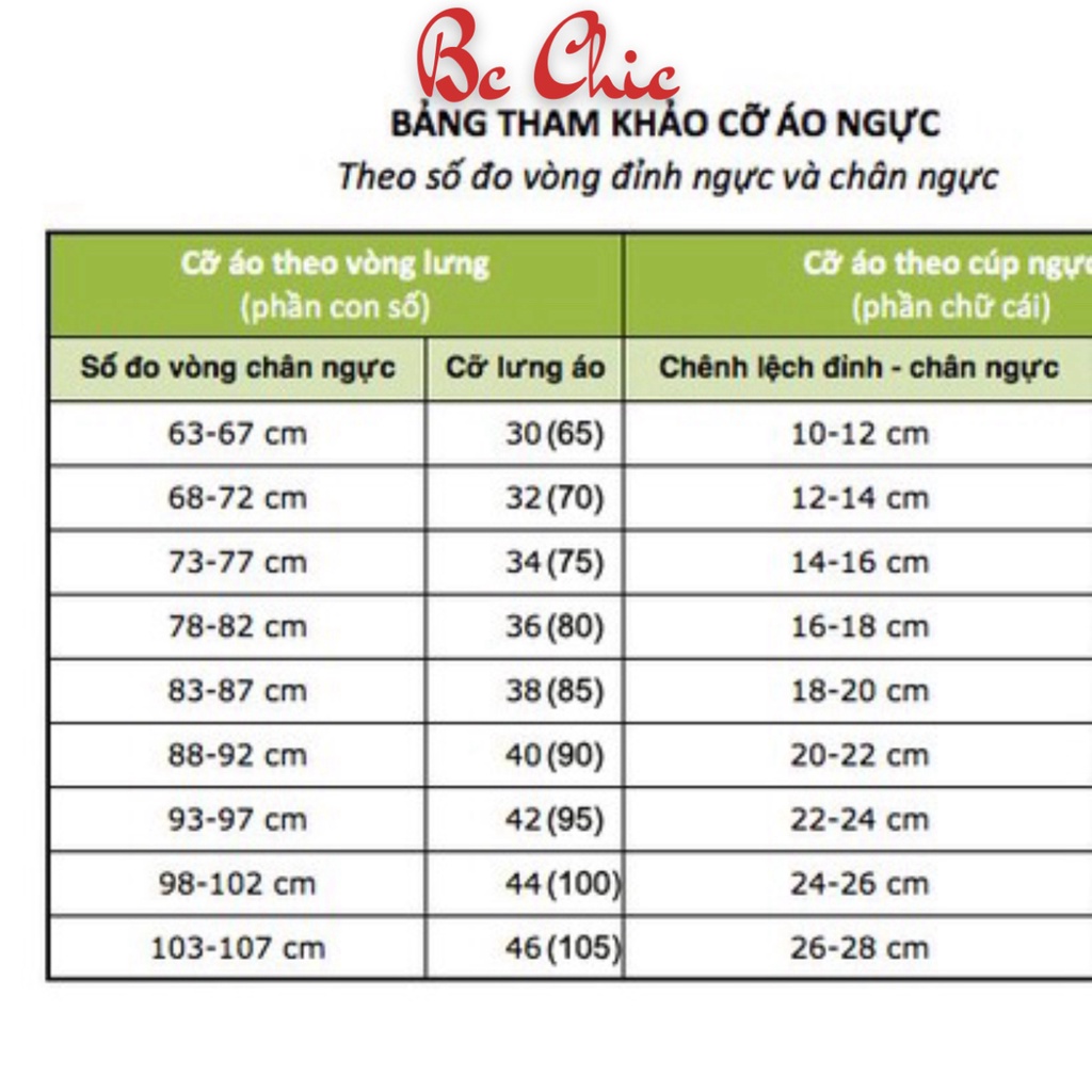 Áo lót nữ, áo ngực nữ su không gọng, đệm dày bàn tay 3cm Lá Liễu BC_CHIC LINGERIE