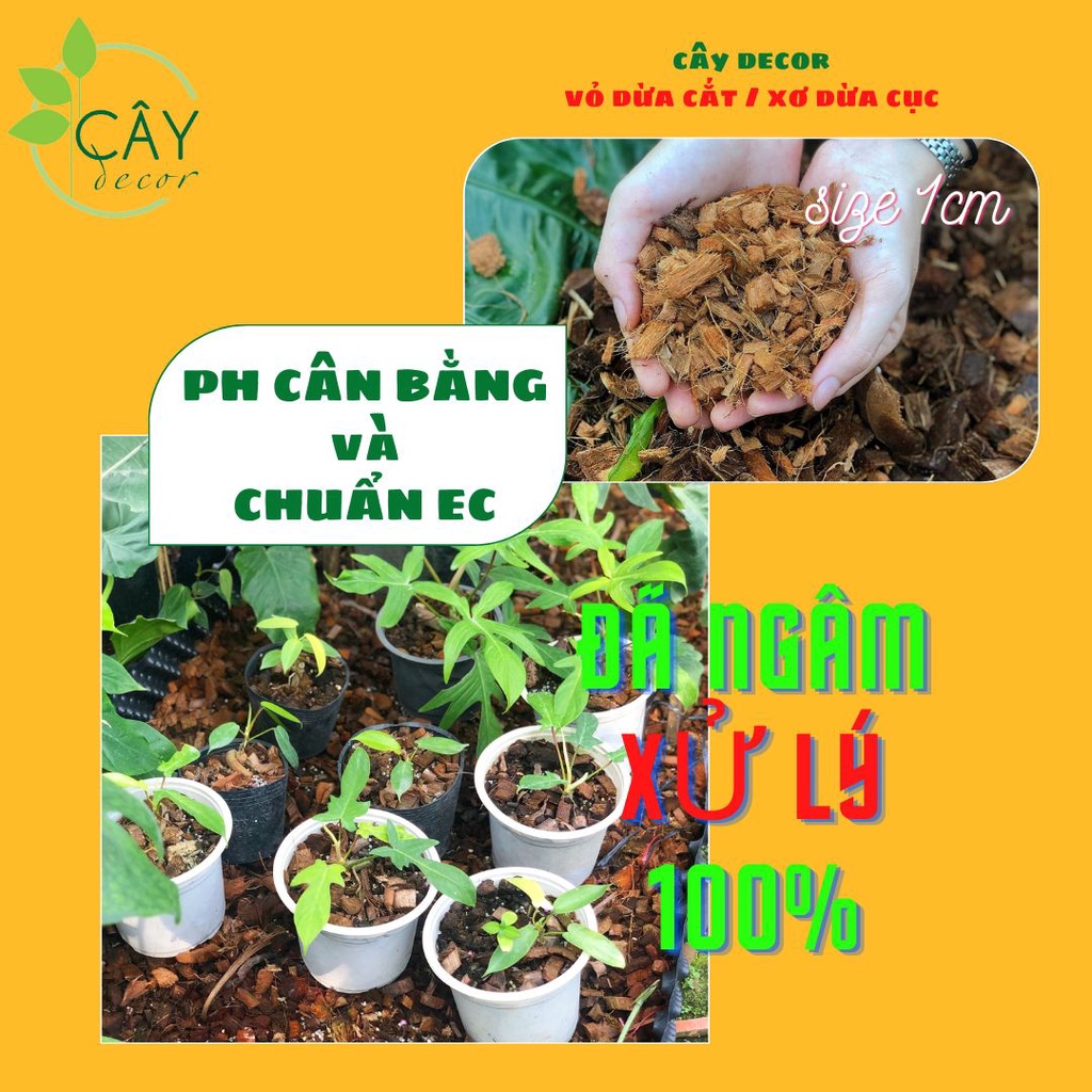 Kiện dừa cục ĐÃ XỬ LÝ CHUẨN EC, đa dạng kích thước, 10-12kg, an toàn cho phong lan, kiểng lá