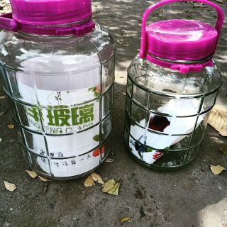 Bình thủy tinh 5 lít có quai xách