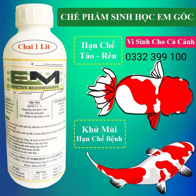 Vi Sinh Cá Koi - EM GỐC khử mùi hôi, giảm khí độc# chai 1lit