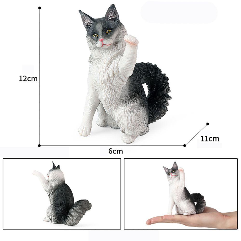Mô Hình Mèo Ragdoll Đồ Chơi Nhận Biết Nhận Dạng Giống Thật Cho Trẻ Em