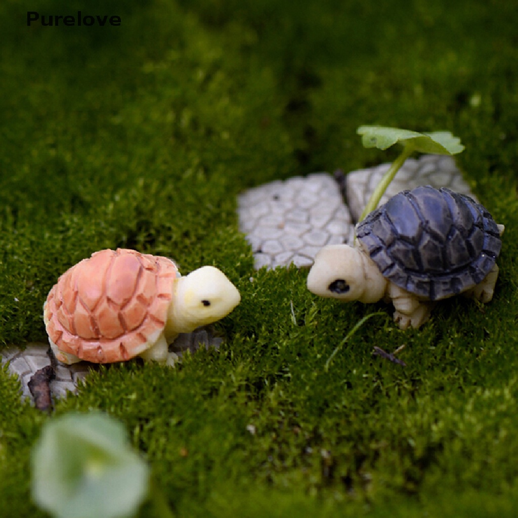Bộ 2 Mô Hình Rùa mini Tự Làm