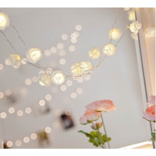 Dây led hoa hồng cực đẹp