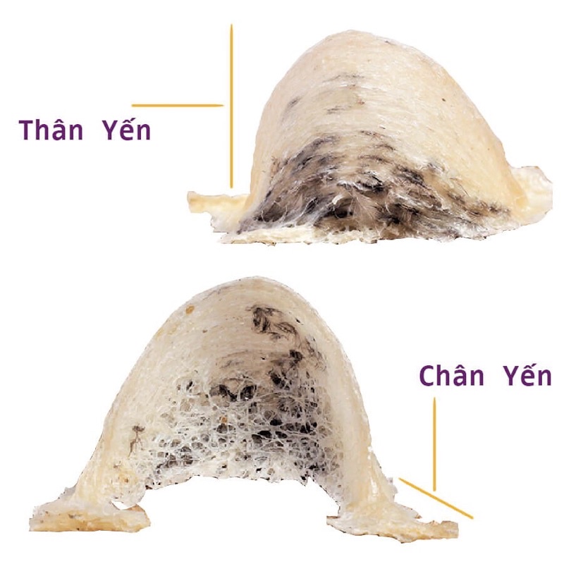 [LOẠI 1] Chân Yến Tinh Chế Sạch Lông Nguyên Chất (50gr-100gr)Quà Tặng