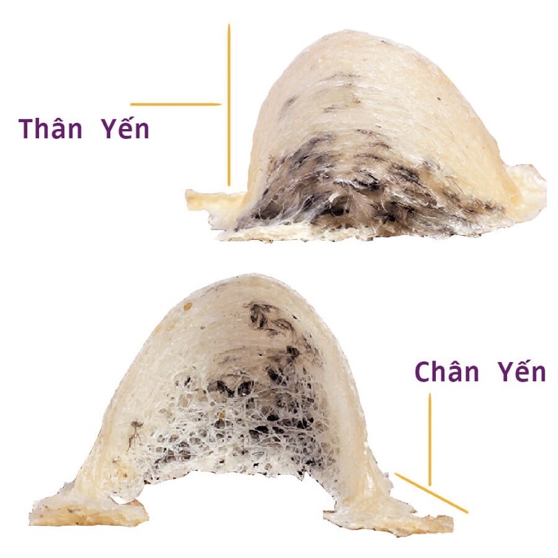 [DÙNG THỬ] 10gr Chân Yến Tinh Chế Sạch Lông Nguyên Chất + Đồ Chưng Kèm