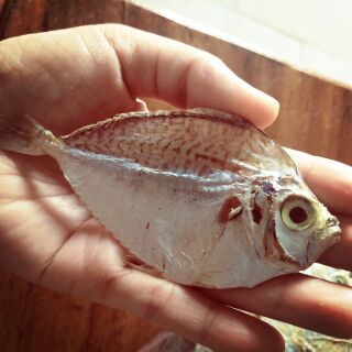 Combo 0,5kg khô cá liệt +0,5kg khô cá chỉ vàng