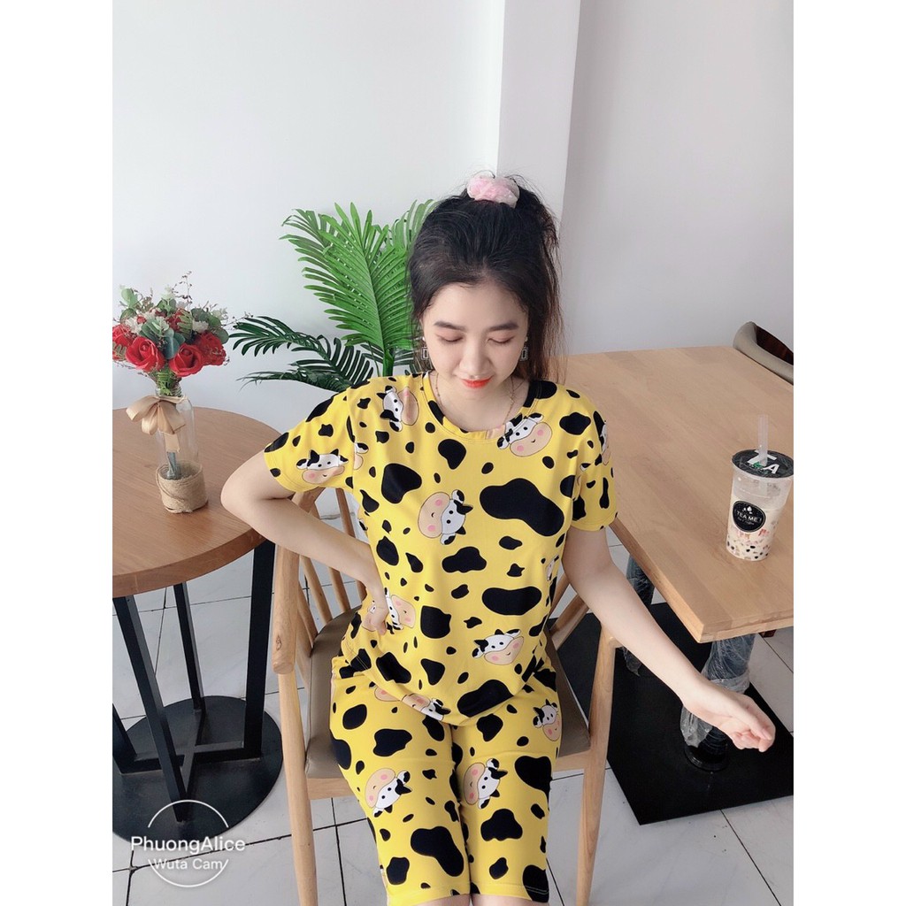 Bộ đồ mặc nhà hình bò sữa siêu dễ thương, thun cotton freesize dưới 57kg | BigBuy360 - bigbuy360.vn