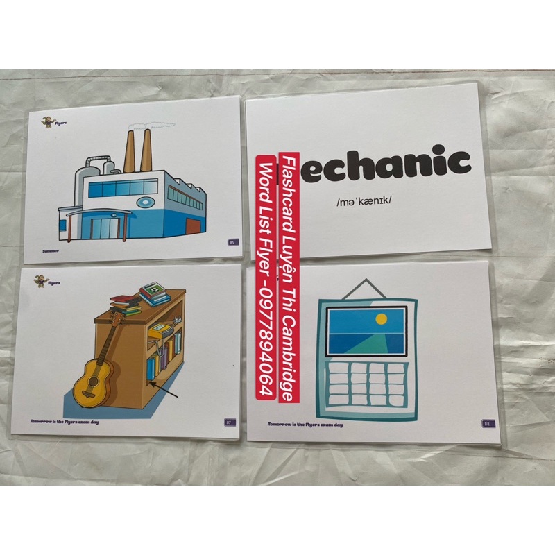 Flashcards từ vựng luyện Cambridge Level Starter -Mover- Flyer