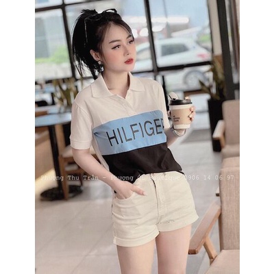 Áo polo cổ bẻ phối chữ phối màu mới