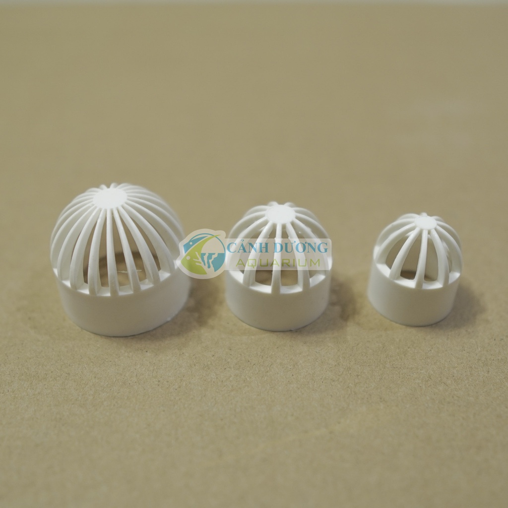 Nắp thoát cho ống U-PVC Phi 32-25-20 chuyên dùng cho hồ cá