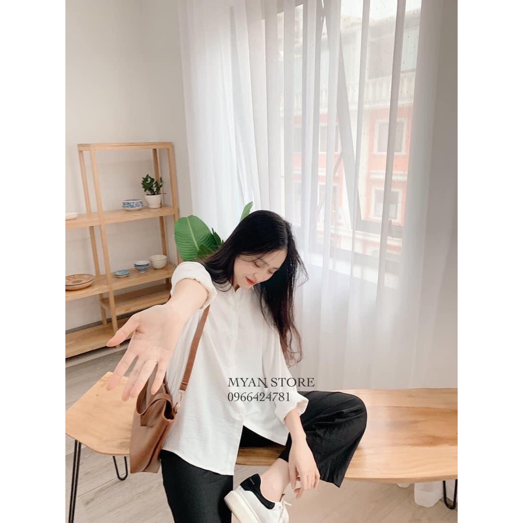 Sơ mi trắng trơn