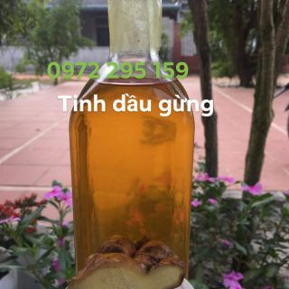 2 tinh dầu gừng 10ml nguyên chất 100%