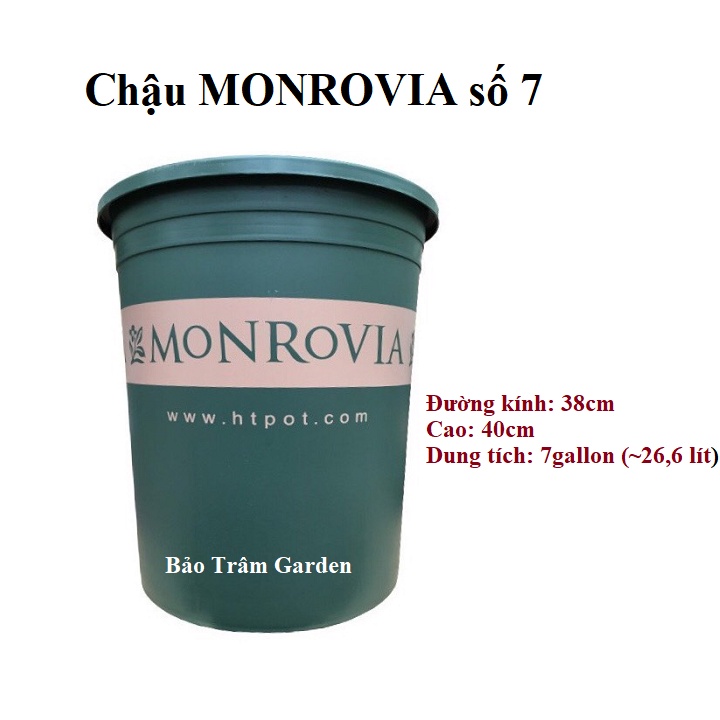 Chậu nhựa trồng cây cao cấp MONROVIA cỡ số 7 dung tích 7 Gallon ( 26,6L)