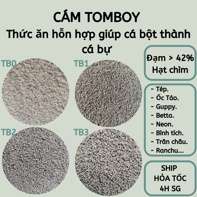 Cám Tomboy TB0 - TB1 - TB2 - TB3 - Thức ăn giá rẻ dành cho cá cảnh và tép cảnh