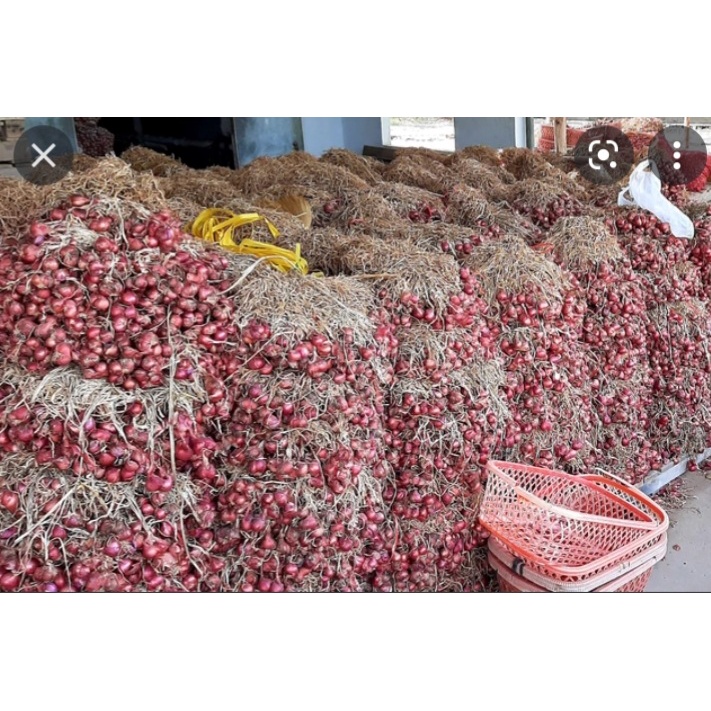 1KG Hành tím xứ Nghệ nhà trồng thơm ngon giá rẻ chỉ 55.000 1kg.giao nhanh khu vực TPHCM
