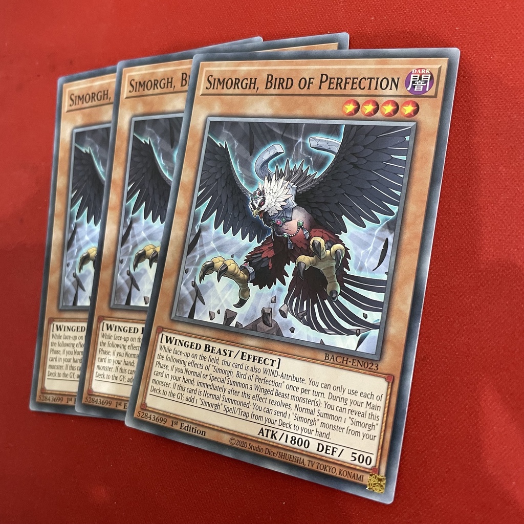 Simorgh, Bird of Perfection