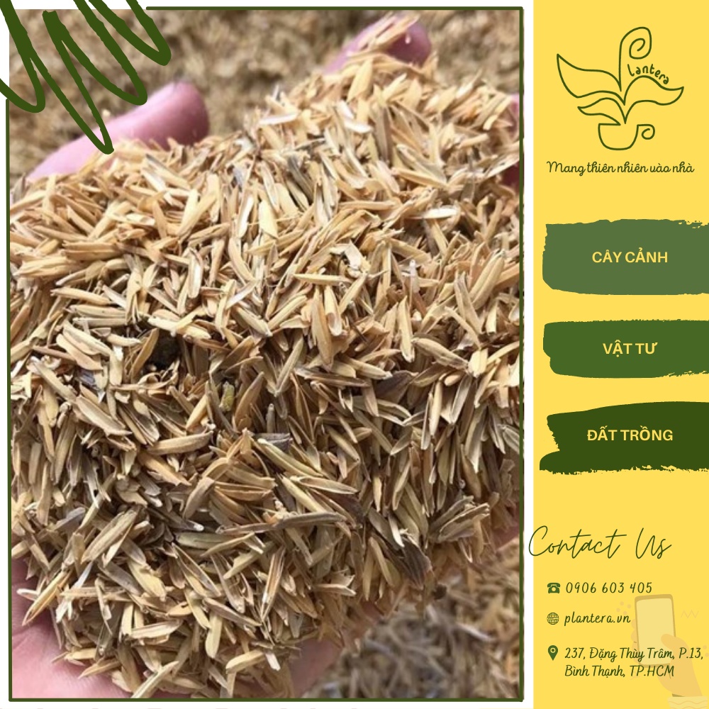 Trấu Sống Vỏ Trấu Miền Tây 4dm3  - Giá Thể - Vỏ Trấu Sống
