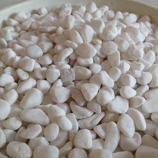 Sỏi trắng trang trí chậu cây, bình hoa, tiểu cảnh, terrarium, sân vườn, hồ cá 2-3cm