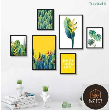 SET 6 TRANH TREO TƯỜNG TROPICAL ĐÃ CÓ KHUNG
