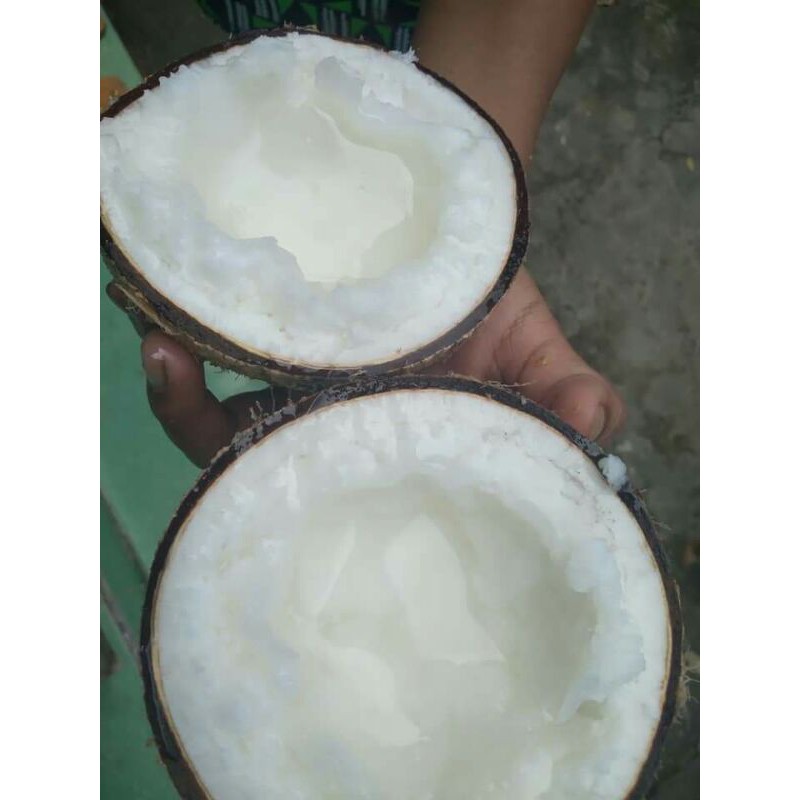 Dừa Sáp Cầu Kè  Loai 3 Sinh Tố Trên 1,3kg | BigBuy360 - bigbuy360.vn