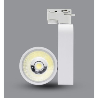 ĐÈN LED PHA TIÊU ĐIỂM PSLOO10L/PSLOO20L PARAGON 10W ÁNH SÁNG TRẮNG 6500k